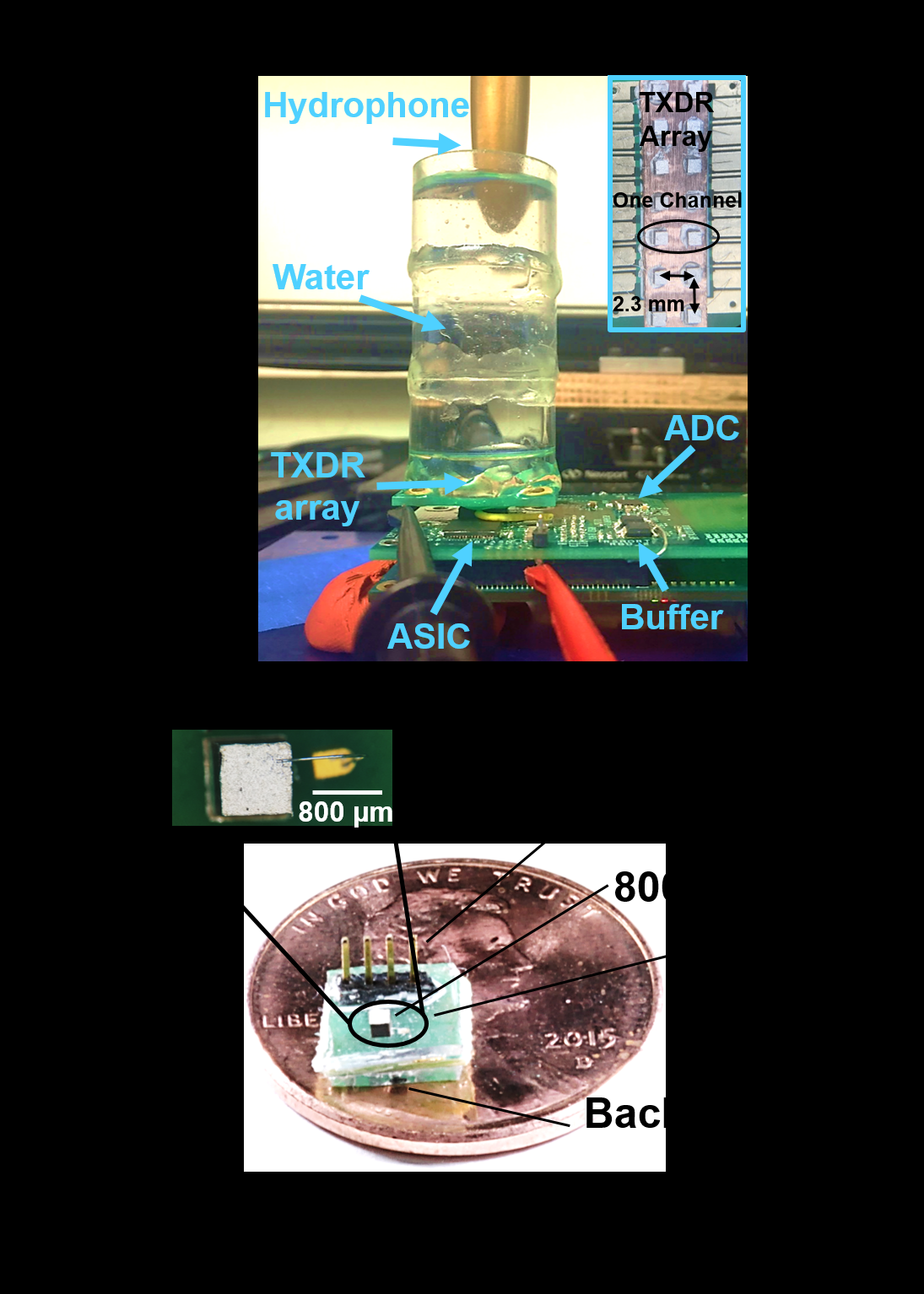 A laboratory measurement setup -- a hydrophone lowered into a water column above a transducer array board -- with an inset of the same device resting on a coin.