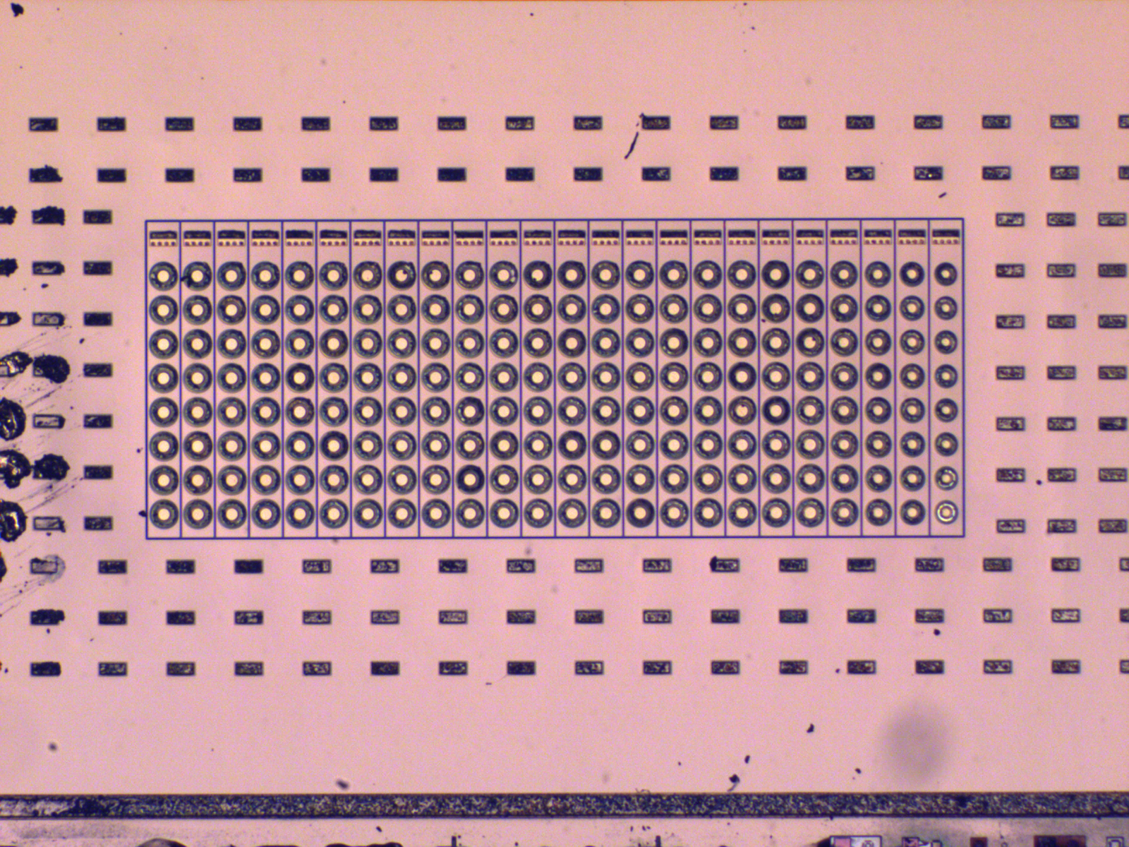 An optical micrograph of a rectangular transducer array, hundreds of circular elements laid out in a regular grid on a pink-toned substrate.