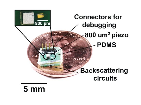 A published photograph of a millimetre-scale neural dust mote on a coin, with its piezo element and backscattering circuits labelled.