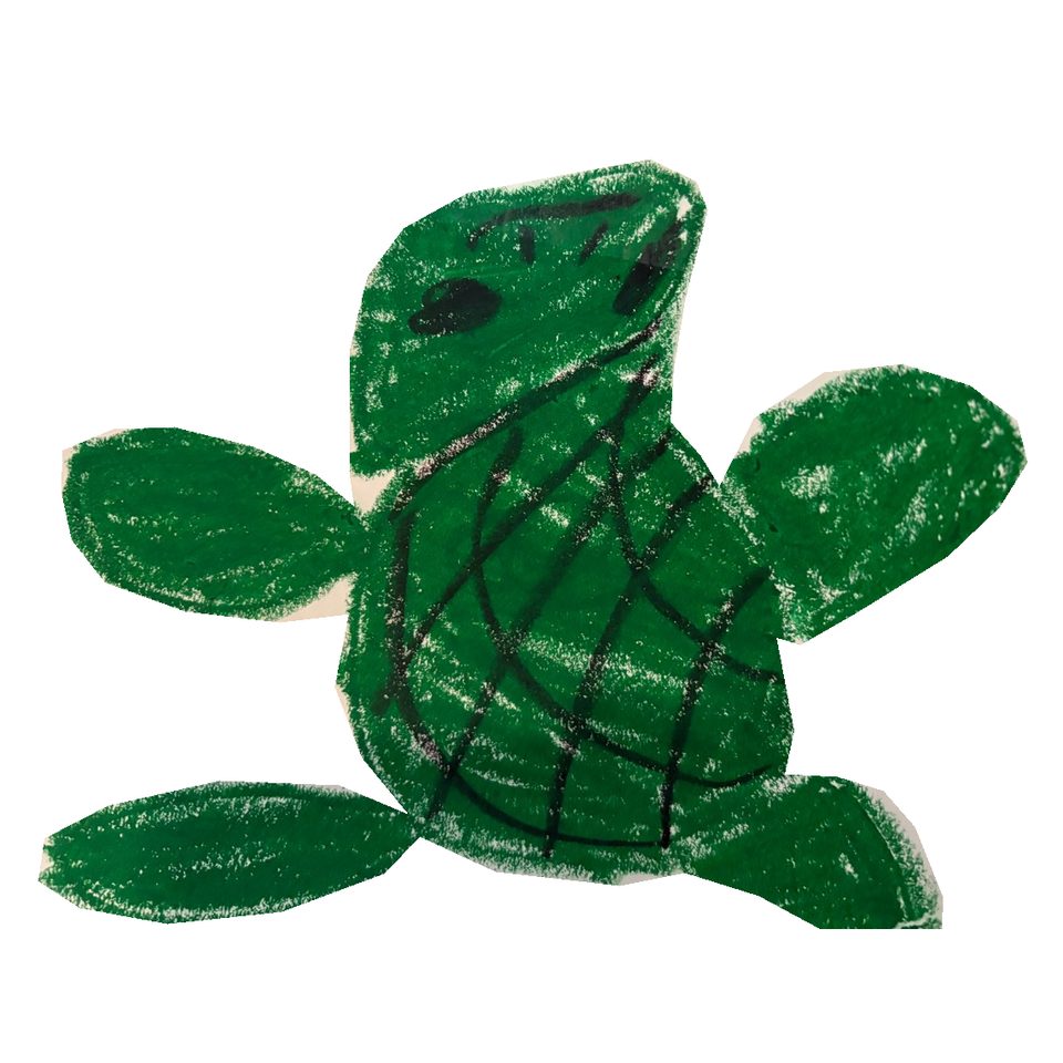 The original green turtle drawing for D002.