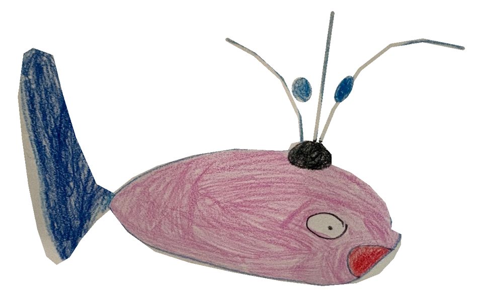 A pink fish — raw