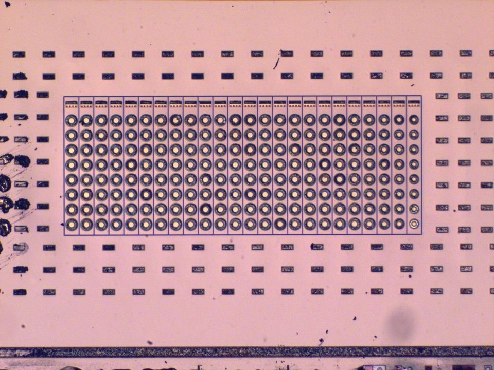 An optical micrograph of a rectangular transducer array, hundreds of circular elements laid out in a regular grid on a pink-toned substrate.
